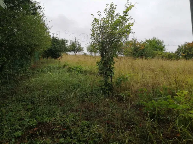 Eladó mezőgazdasági ingatlan Dombóvár 32 nm