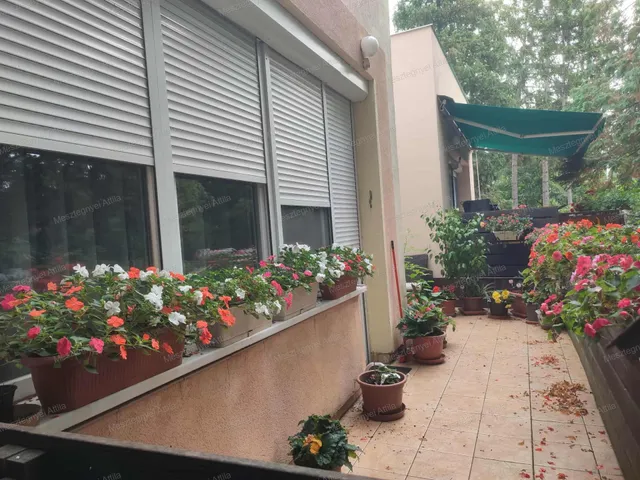 Eladó lakás Sopron 85 nm