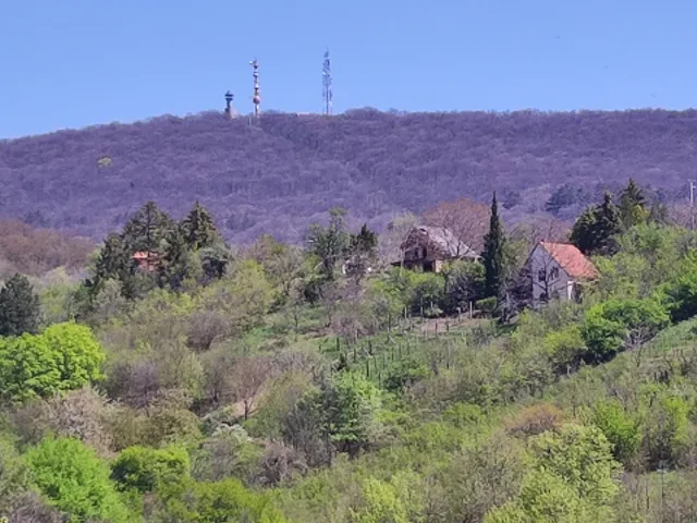 Eladó telek Pécs, Ürög 1811 nm