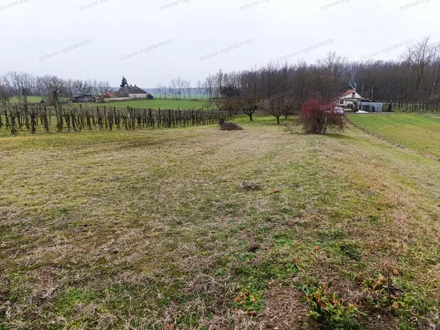 Eladó telek Buzsák 1730 nm