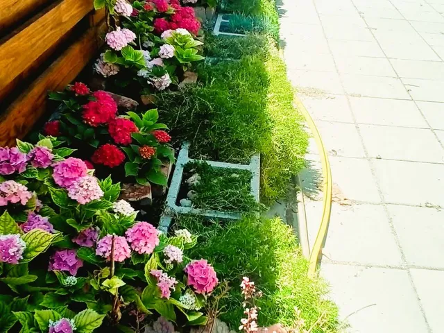 Eladó ház Kiskunlacháza 87 nm