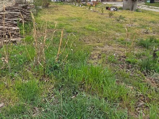 Eladó telek Tököl 782 nm