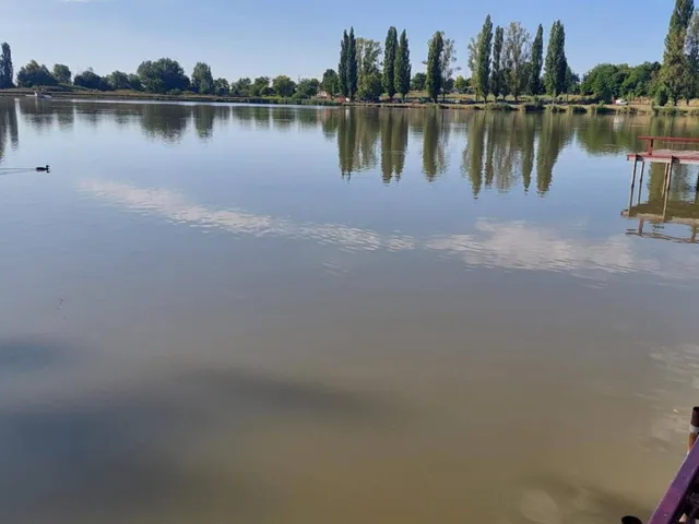 Eladó nyaraló Dány 64 nm