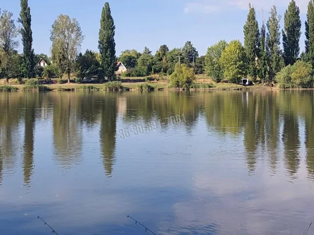 Eladó nyaraló Dány 64 nm