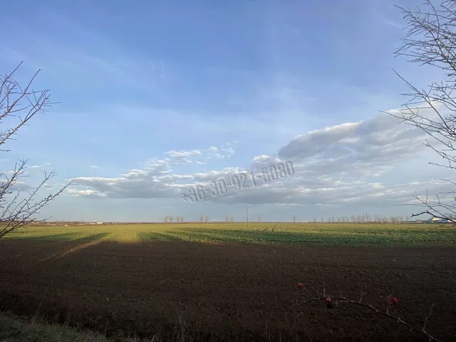 Eladó telek Valkó 1 nm
