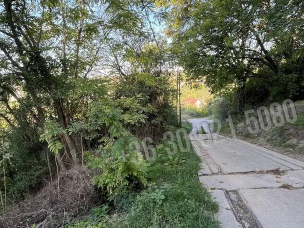 Eladó telek Kerepes 1126 nm