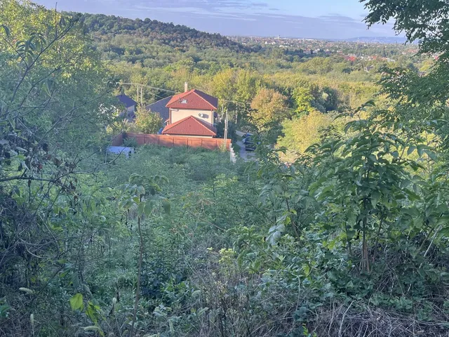 Eladó telek Kerepes 1126 nm