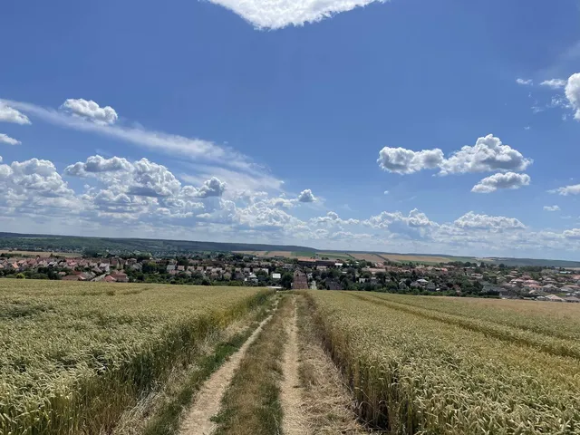 Eladó telek Aszód 715 nm