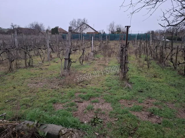 Eladó ház Dány 97 nm