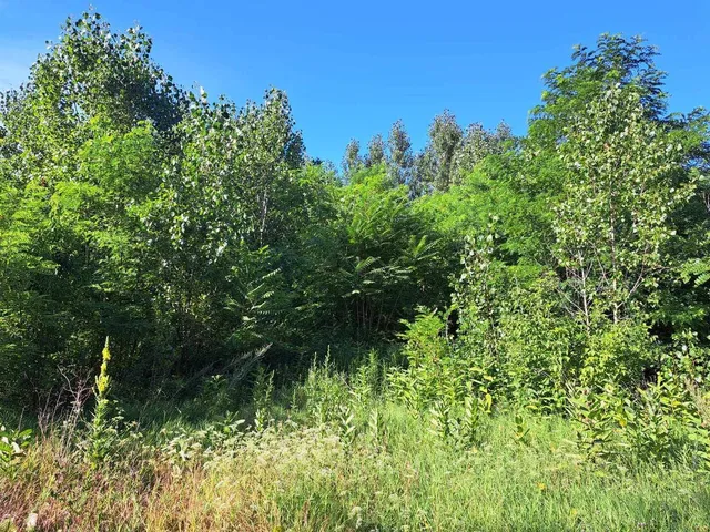 Eladó mezőgazdasági ingatlan Nyársapát 9449 nm