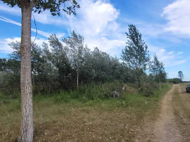 Eladó mezőgazdasági ingatlan Mikebuda 48078 nm