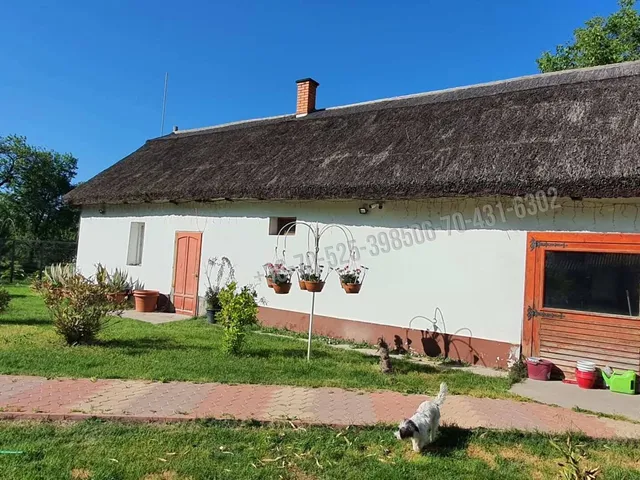 Eladó kereskedelmi és ipari ingatlan Lajosmizse 90 nm