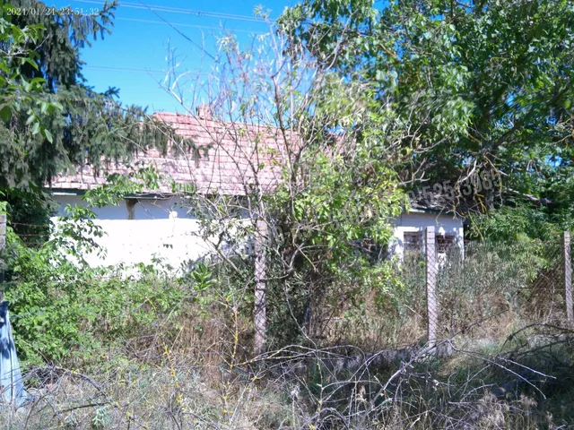 Eladó mezőgazdasági ingatlan Albertirsa 60 nm