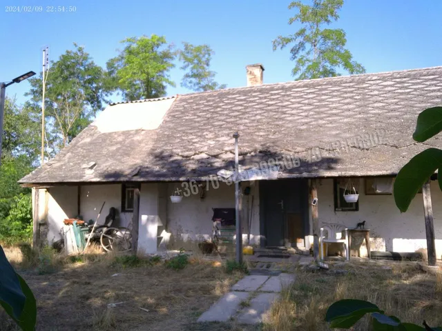 Eladó mezőgazdasági ingatlan Albertirsa 78 nm
