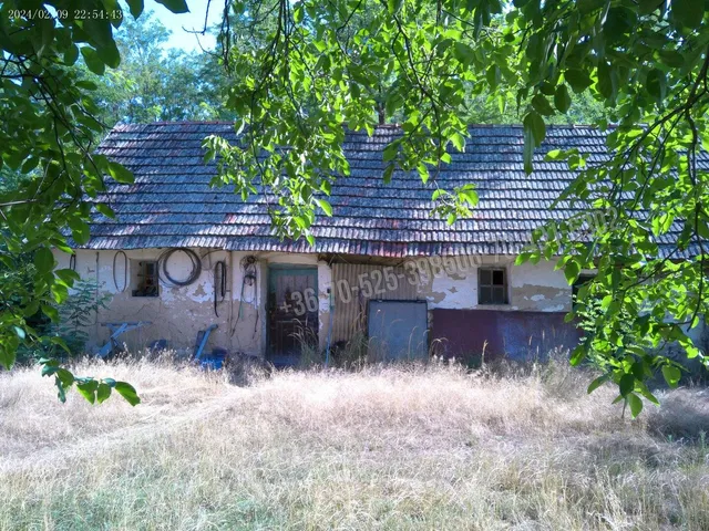 Eladó mezőgazdasági ingatlan Albertirsa 78 nm