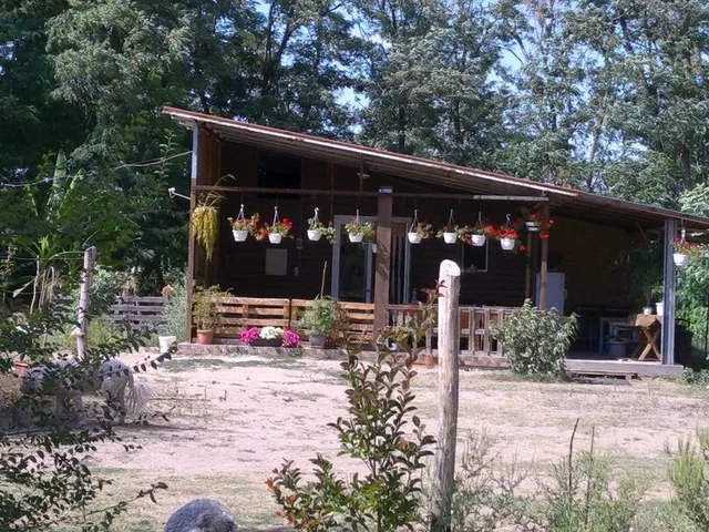 Eladó mezőgazdasági ingatlan Lajosmizse 71 nm