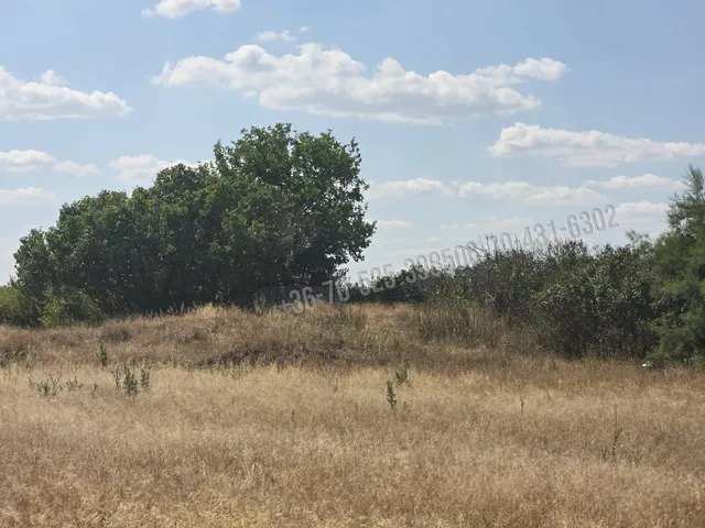 Eladó mezőgazdasági ingatlan Mikebuda, Külterület 3769 nm