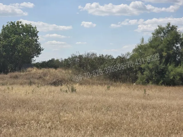 Eladó mezőgazdasági ingatlan Mikebuda, Külterület 3769 nm