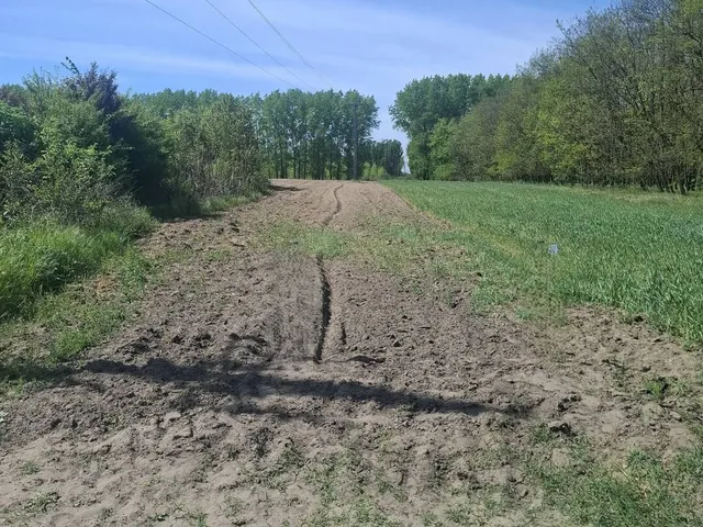 Eladó mezőgazdasági ingatlan Albertirsa 1956 nm