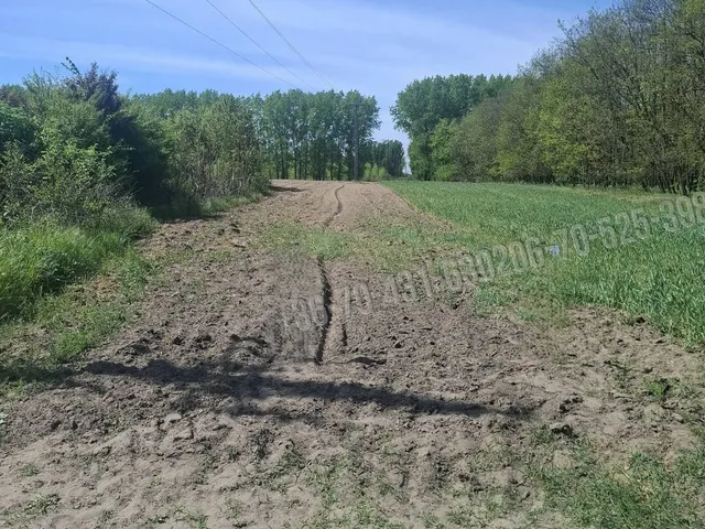 Eladó mezőgazdasági ingatlan Albertirsa 1956 nm