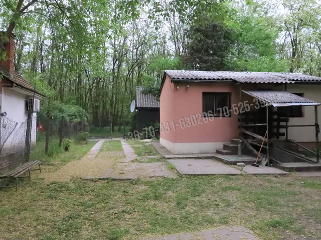 Eladó mezőgazdasági ingatlan Albertirsa 30 nm