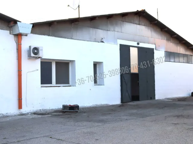 Kiadó kereskedelmi és ipari ingatlan Albertirsa 1300 nm