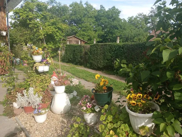 Eladó ház Dormánd 140 nm