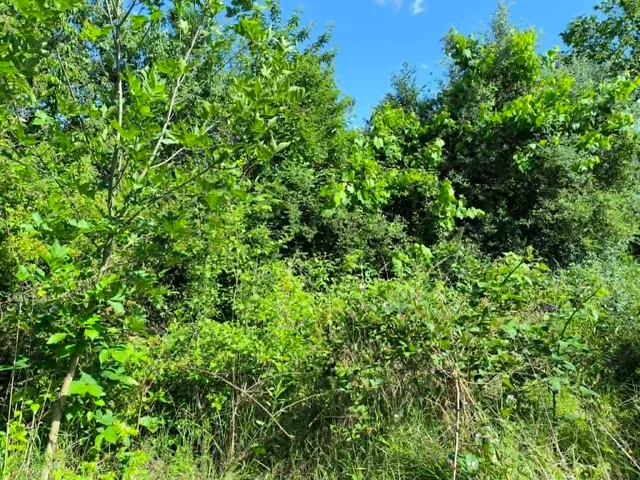 Eladó ház Egerszalók 70 nm