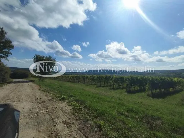 Eladó mezőgazdasági ingatlan Szentjakabfa 21019 nm