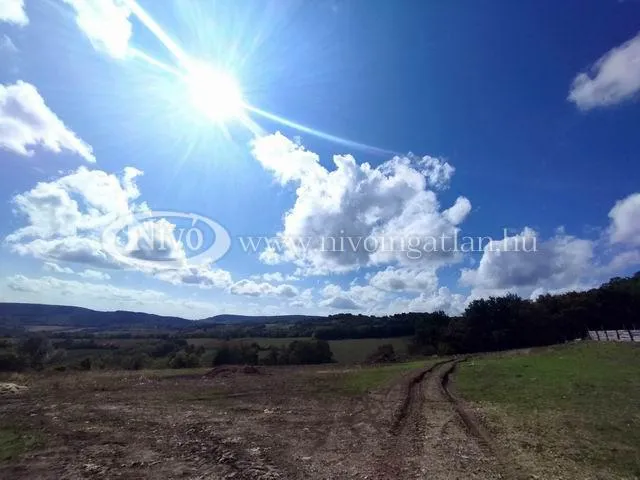 Eladó mezőgazdasági ingatlan Szentjakabfa 21019 nm