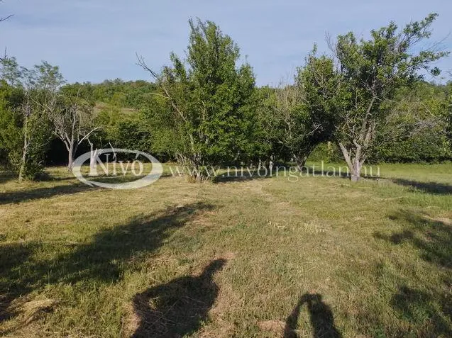 Eladó mezőgazdasági ingatlan Balatonkenese 4883 nm