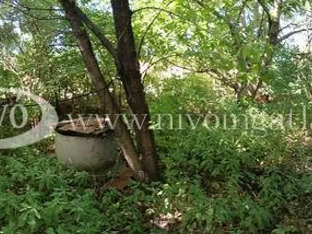 Eladó telek Sóly 1055 nm