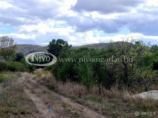 Eladó telek Márkó 1669 nm