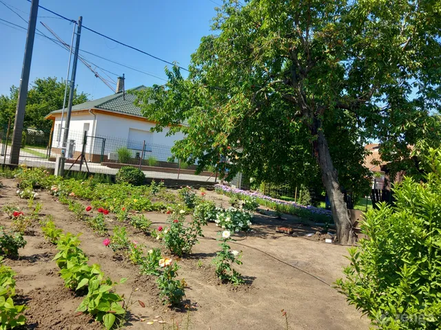 Eladó telek Üllő 320 nm