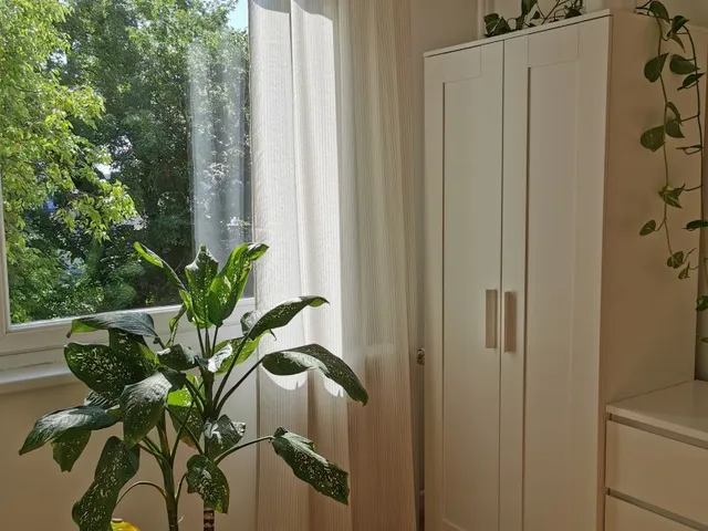 Kiadó lakás Debrecen, Belváros 70 nm