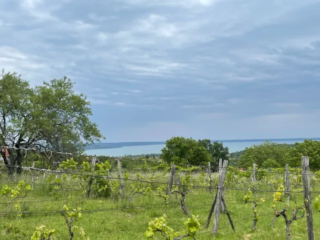 Eladó telek Balatonalmádi, Vöröshegy 3089 nm