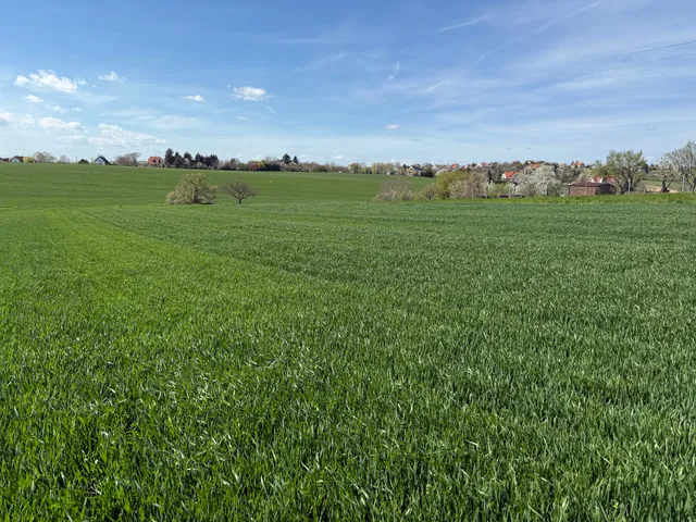 Eladó telek Cserszegtomaj 1984 nm