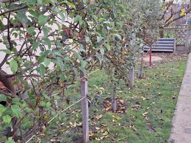 Eladó ház Lak 189 nm