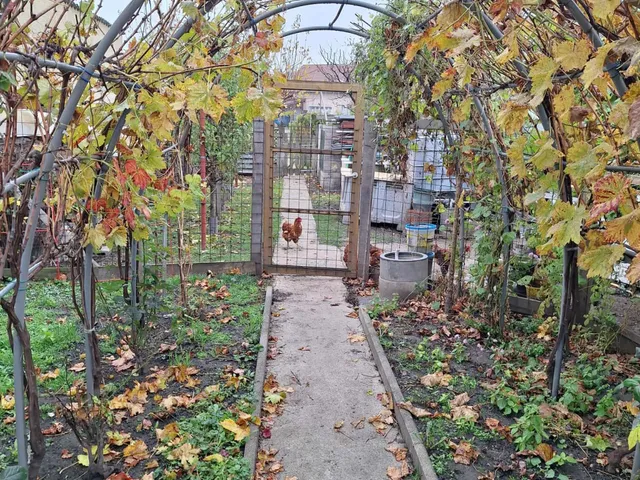 Eladó ház Lak 189 nm