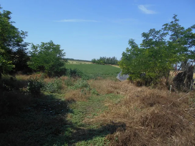 Eladó ház Dombegyház 50 nm