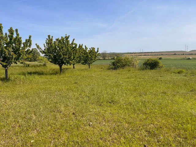 Eladó mezőgazdasági ingatlan Kistarcsa, Falu 7338 nm