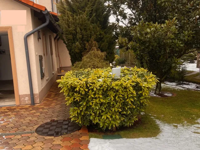 Kiadó kereskedelmi és ipari ingatlan Kistarcsa, Fenyvesliget 77 nm