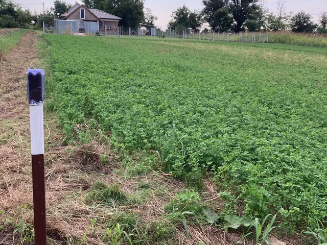 Eladó telek Siófok 1580 nm