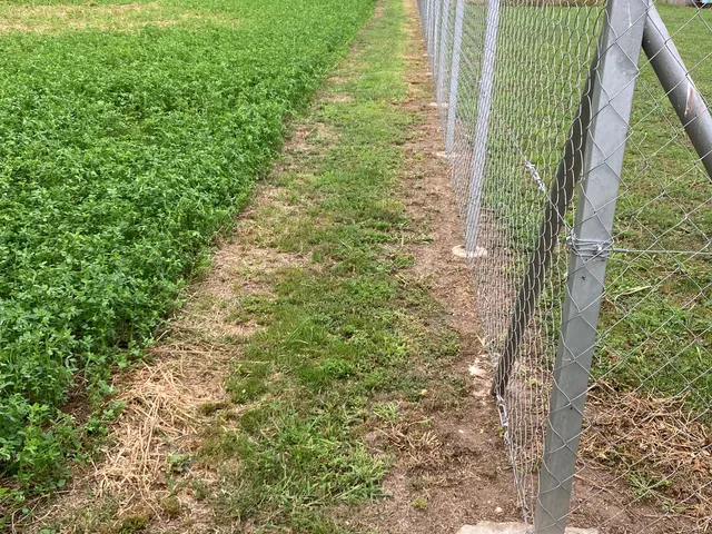 Eladó telek Siófok 1580 nm