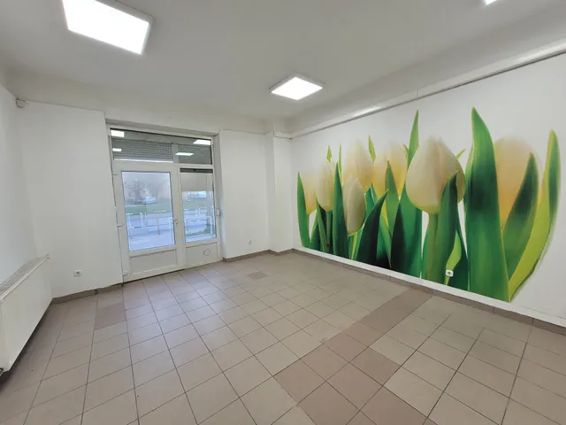 Kiadó ház Győr, Nádorváros 140 nm