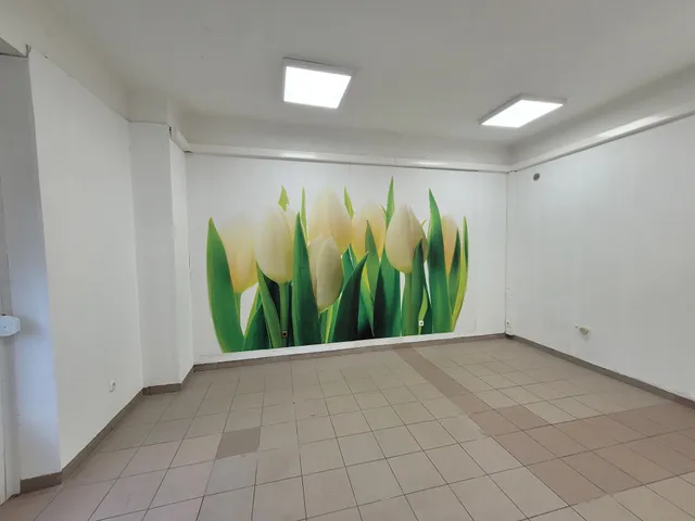 Kiadó ház Győr, Nádorváros 140 nm