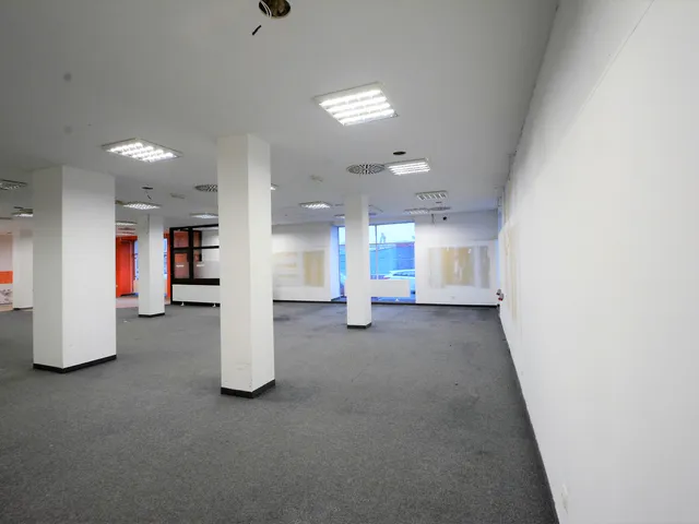 Kiadó kereskedelmi és ipari ingatlan Győr, Belváros 300 nm