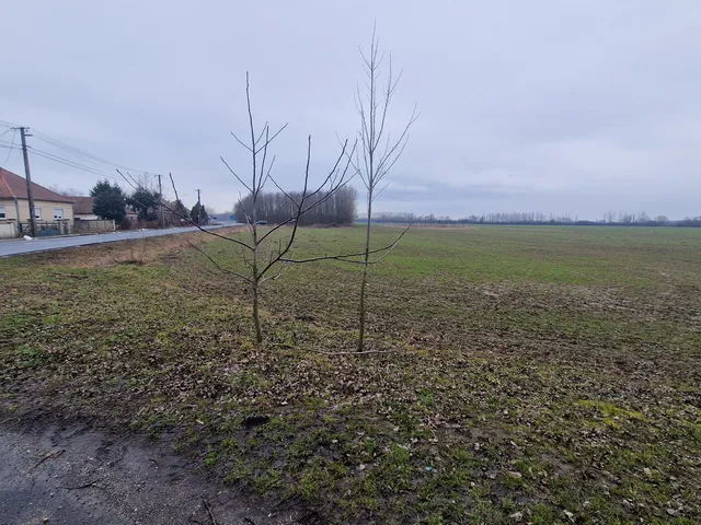 Eladó telek Szilsárkány, Fő utca 10 1079 nm