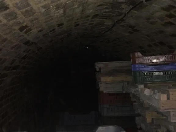 Eladó mezőgazdasági ingatlan Paks 25 nm