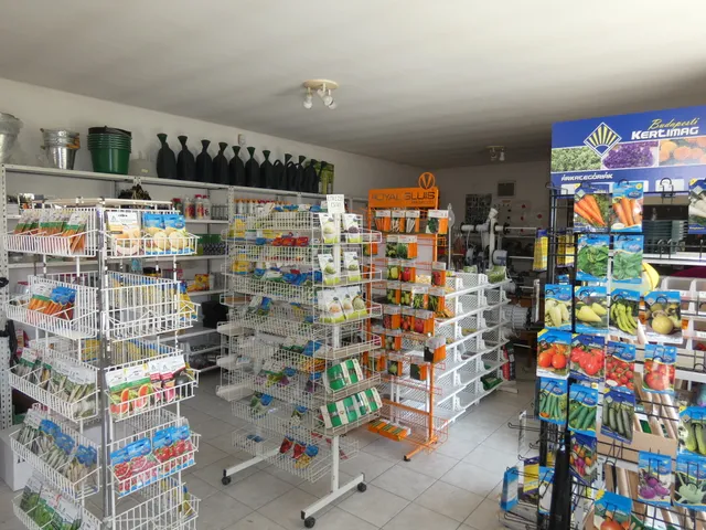 Eladó kereskedelmi és ipari ingatlan Ráckeve 75 nm
